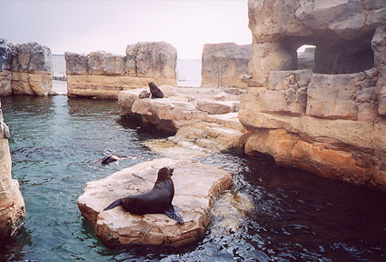 Foto: Referenzen / Entwuerfe